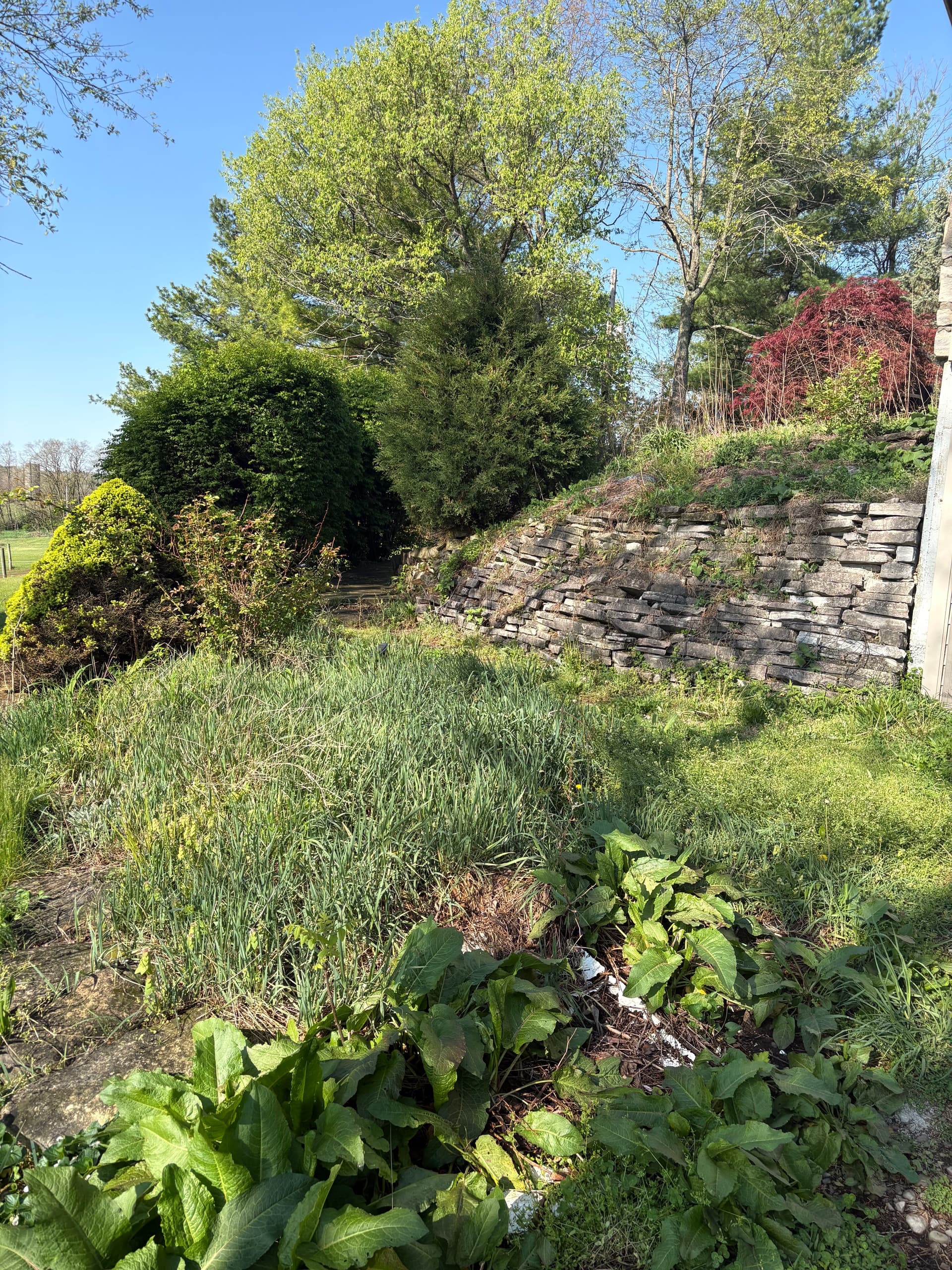 Gallery photos for Curb Appeal Cleanup on a Home Heading to Market: Image #3