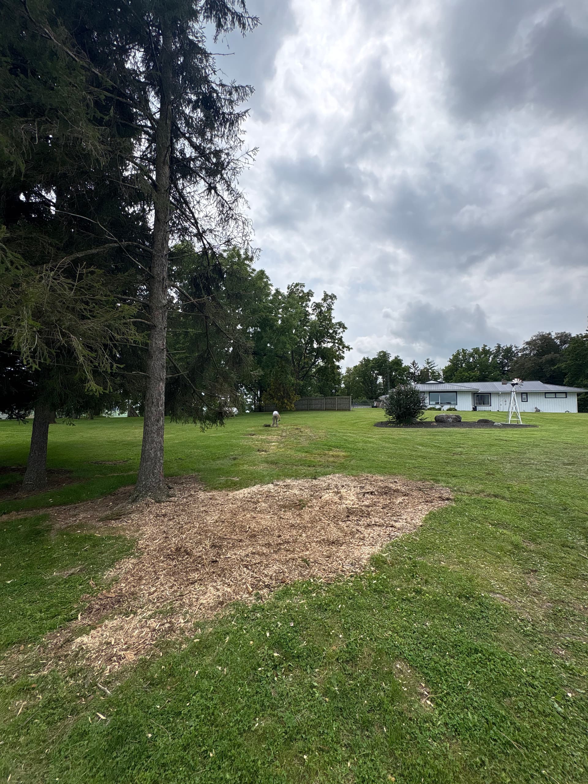 Gallery photos for Storm Damage Tree Cleanup and Dead Limb Removal in Logan and Champaign: Image #1
