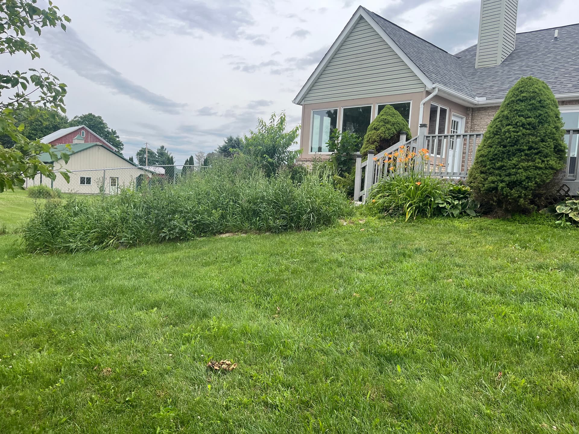 Gallery photos for West Liberty Landscaping Cleanup in Progress: Image #7